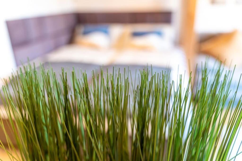Apartmán Golden Nugget Inkl Wlan, Parkplatz Detmold Exteriér fotografie